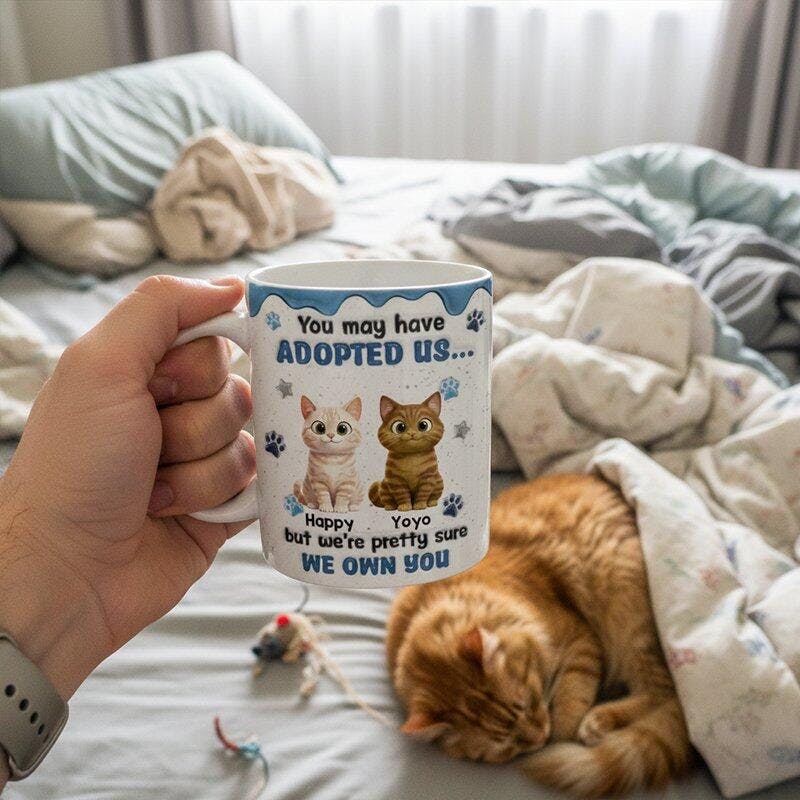 1765793663__1__original.jpg__PID:b4467db3-ec2d-4ac6-a324-4755a2894891